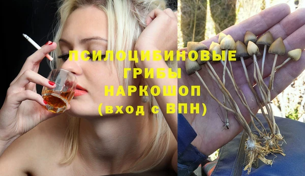 дмт Верея