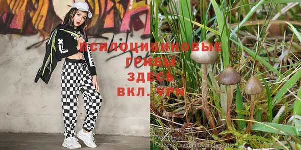 MDMA Бугульма