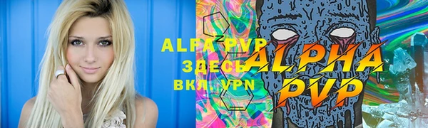 дмт Верея