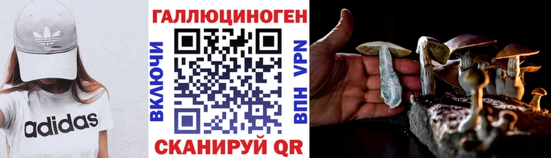 купить наркотики сайты Горбатов Псилоцибиновые грибы мицелий